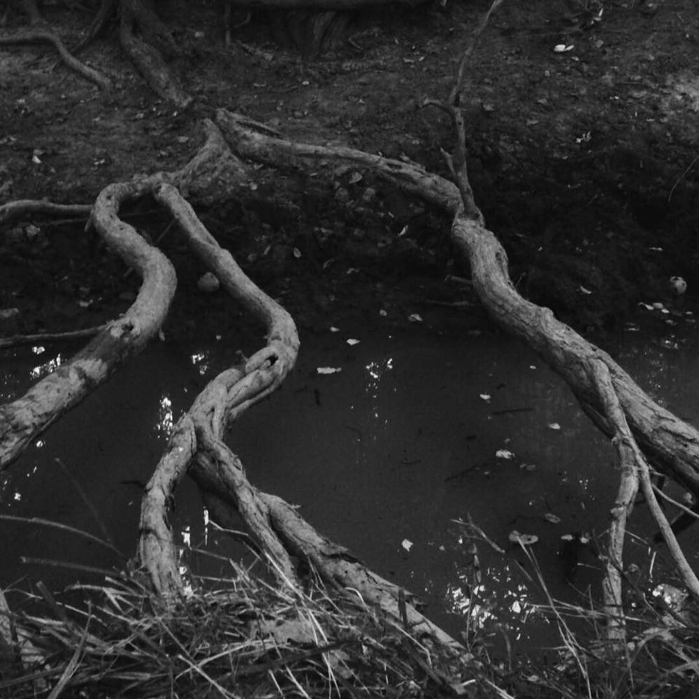 Meet your Posher, Summer